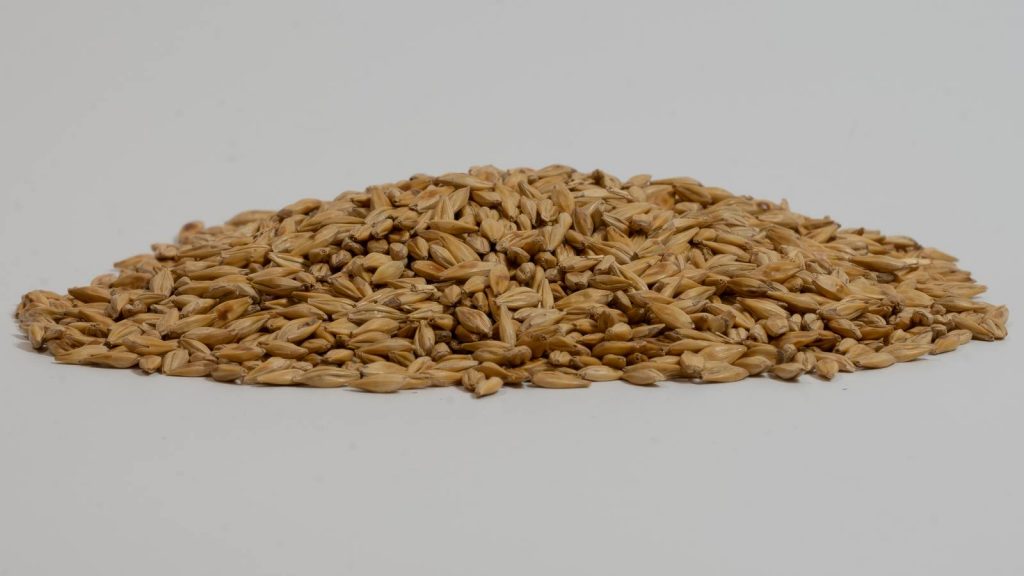 Heaped pile of Cara Gold Malt