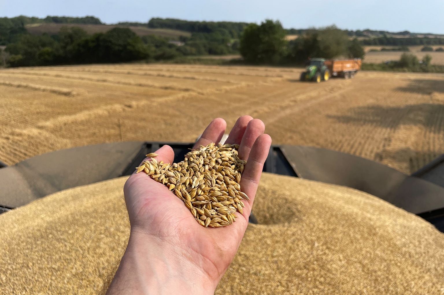 Barley Harvest 2024 French And Jupps Malt